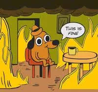 this is fine!